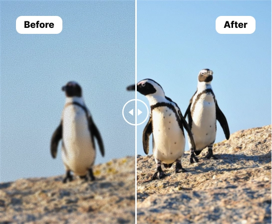 Enhance product and portrait images